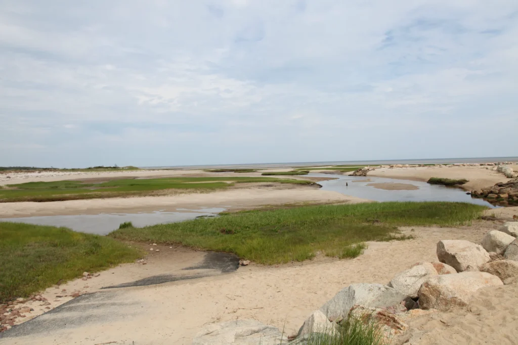 Coastal marsh, beach, and tidal inlet in Dennis, Massachusetts