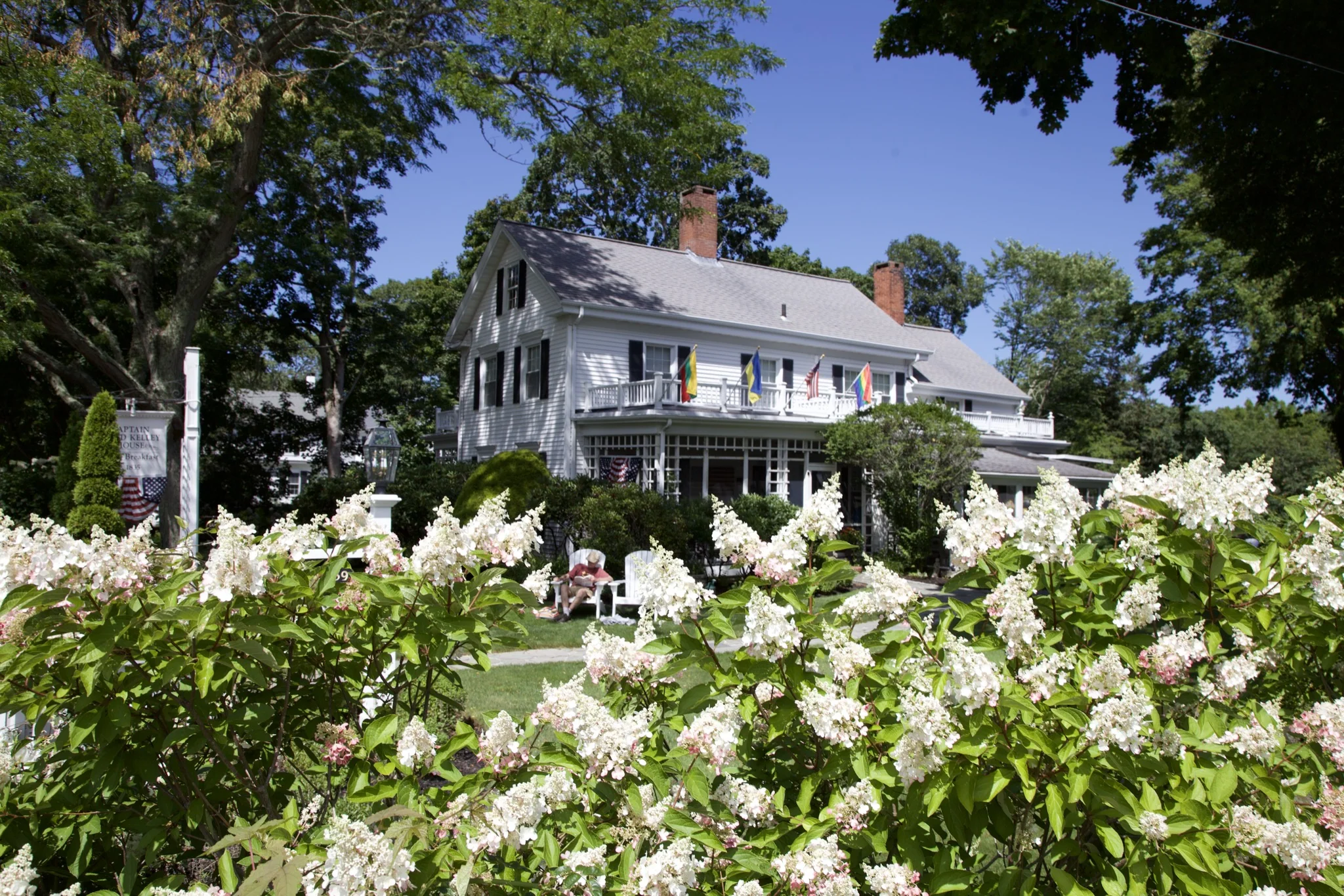 Historic white Greek Revival house with wraparound porch and hydrangeas in Centerville, Barnstable