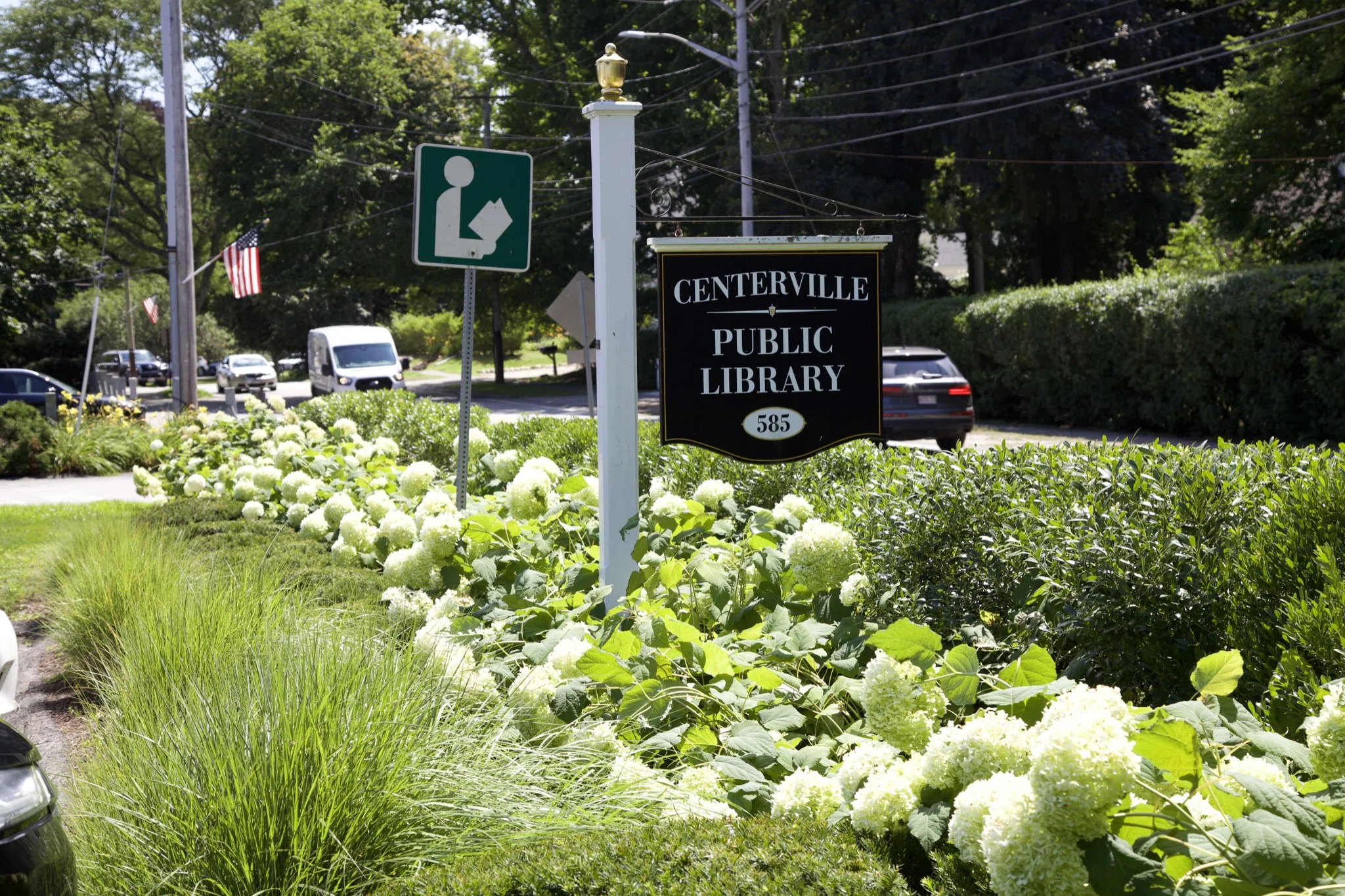 Centerville Public Library sign set in a bed of white hydrangeas, Barnstable, Massachusetts