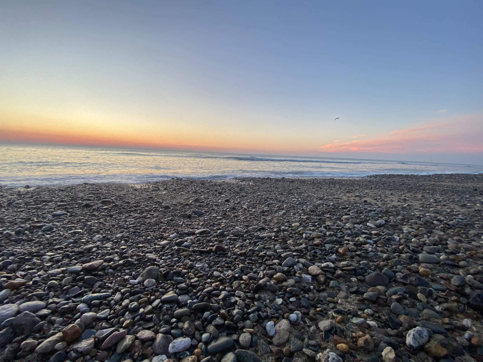 Cobble and shingle beach at dawn on the Atlantic side of Eastham
