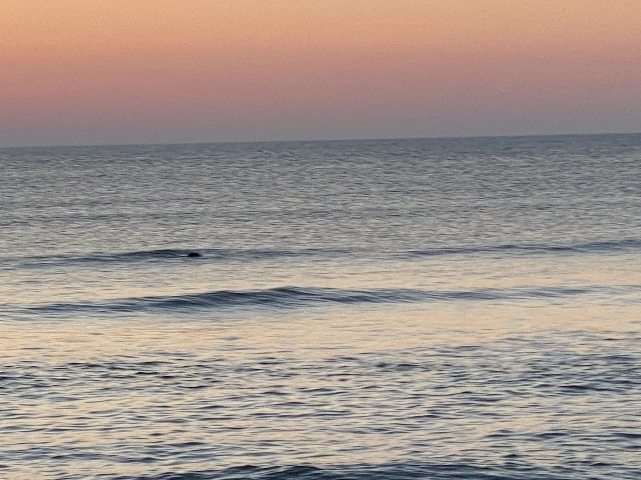 Low surf and a pink dawn horizon on the Eastham outer beach