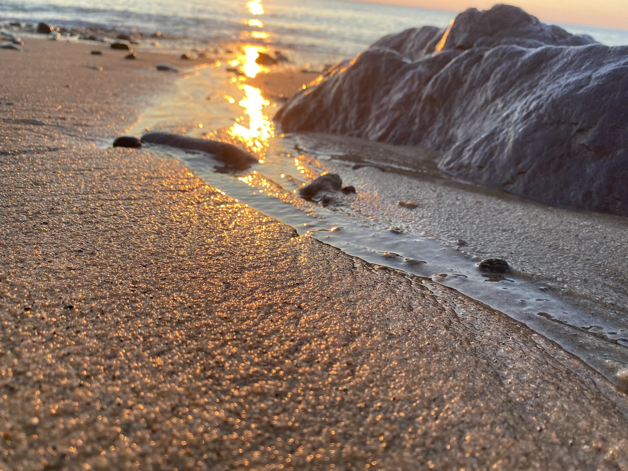 Sunrise reflected in wet sand along the tide line at Eastham