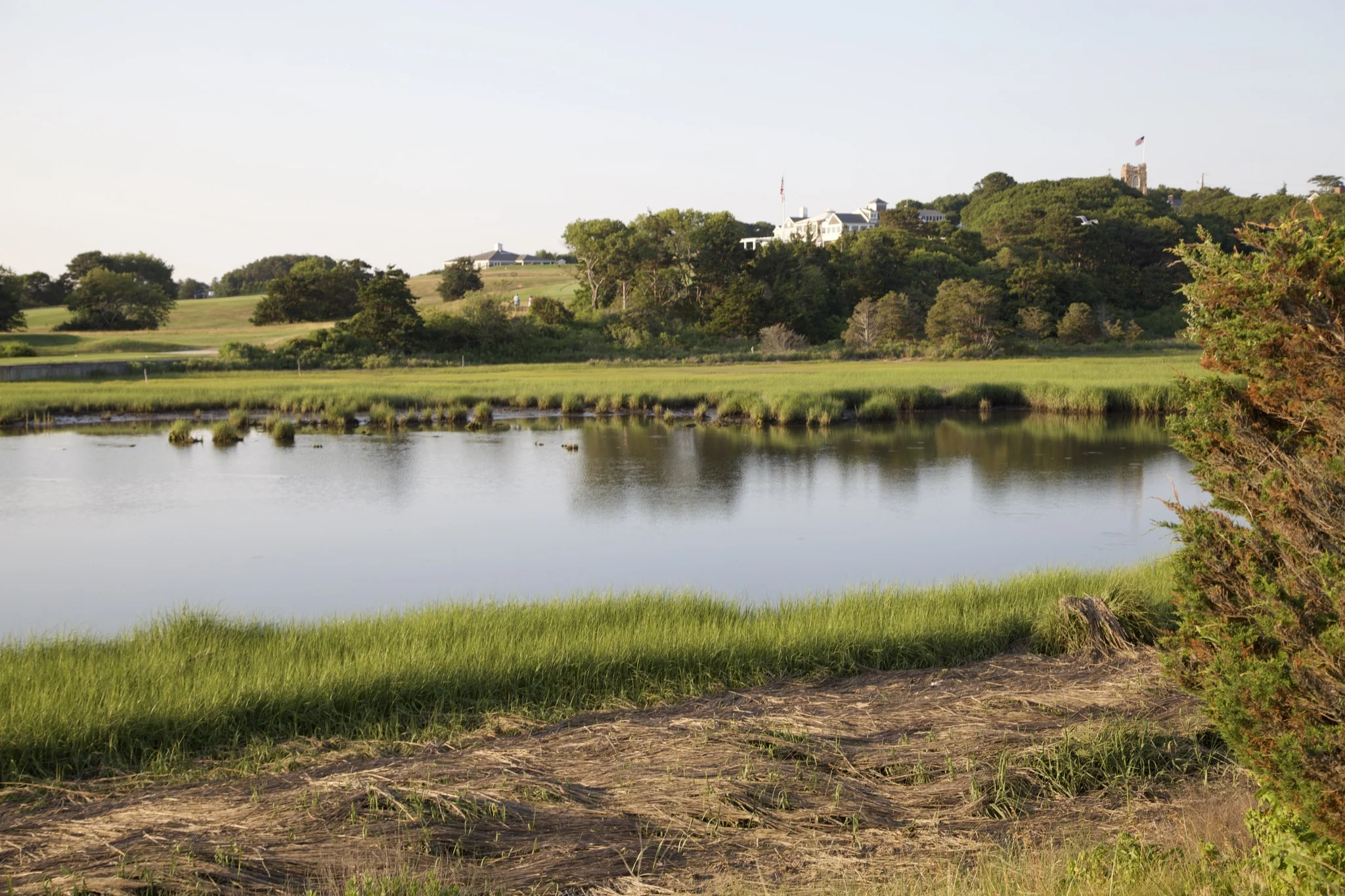Salt marsh and mown green edging the water at Hyannis Port