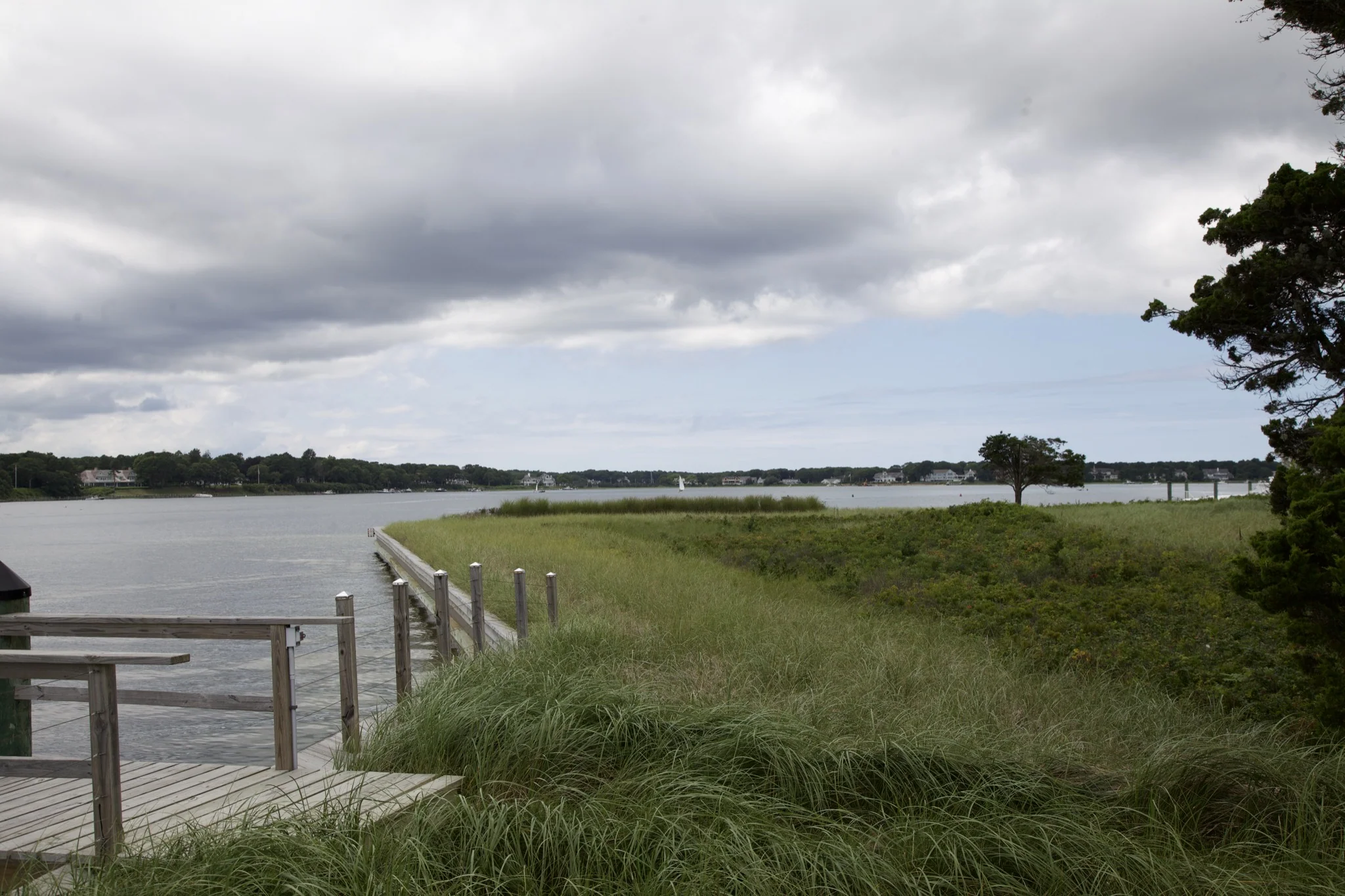 Beach grass and boardwalk railing above the marsh at Osterville, Barnstable