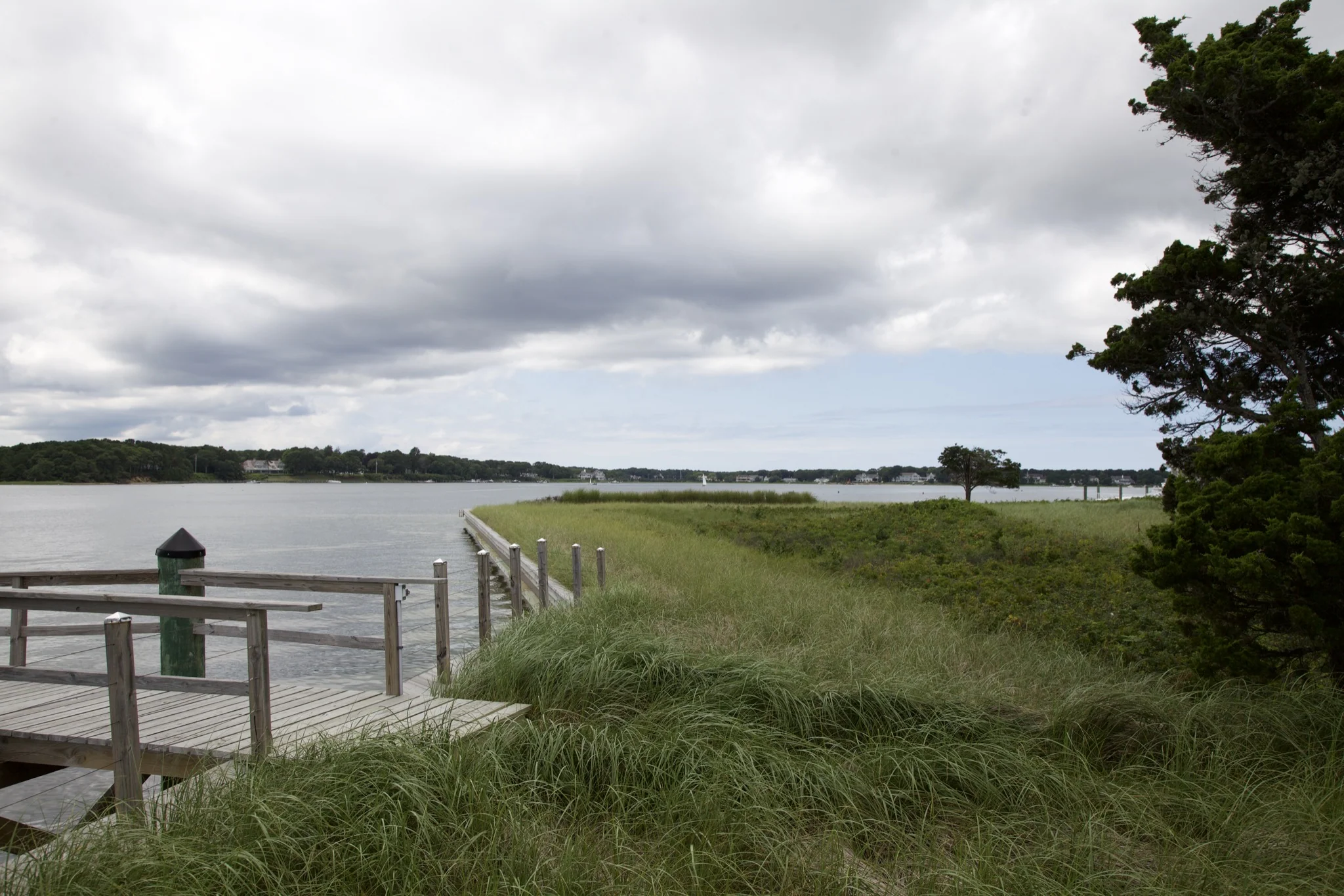 Beach grass and railing above the waterfront marsh at Osterville, Barnstable