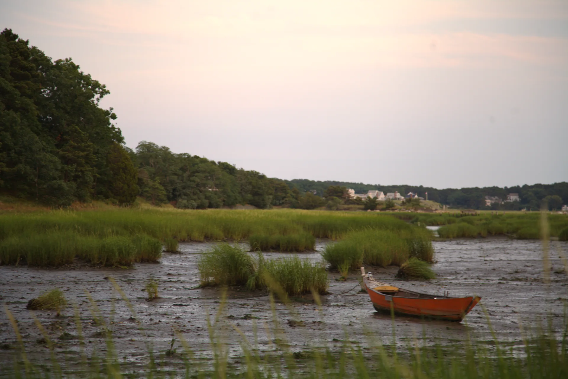 A wooden dory grounded on the tidal flats of Wellfleet Harbor at dawn, salt marsh grass in the foreground and a wooded shoreline beyond.