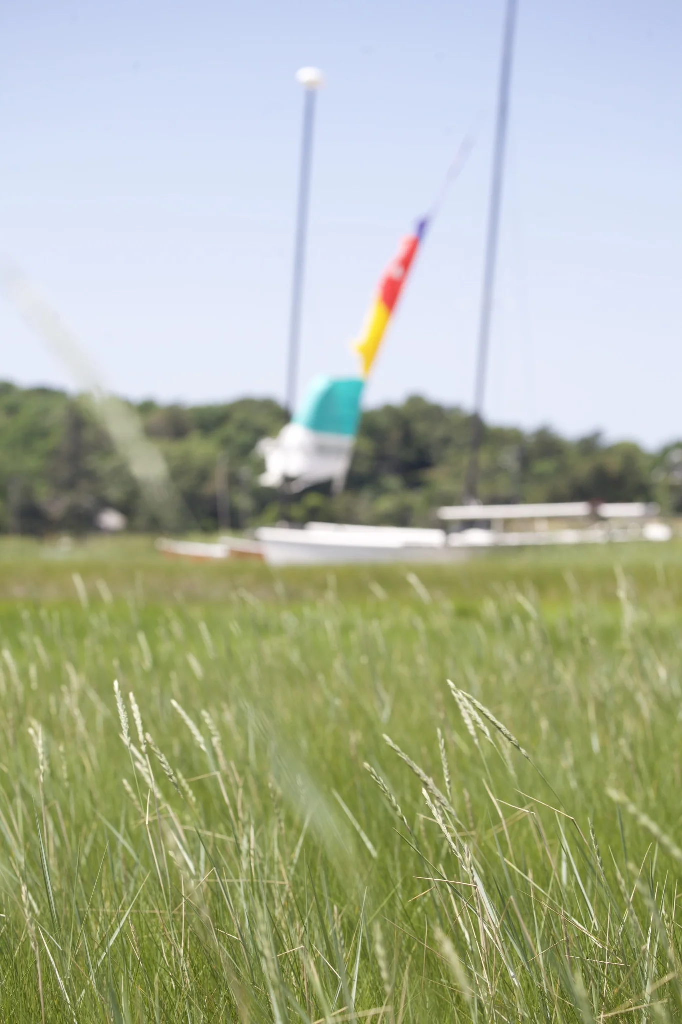 Beached catamaran seen over the marsh grass on the Chatham shore