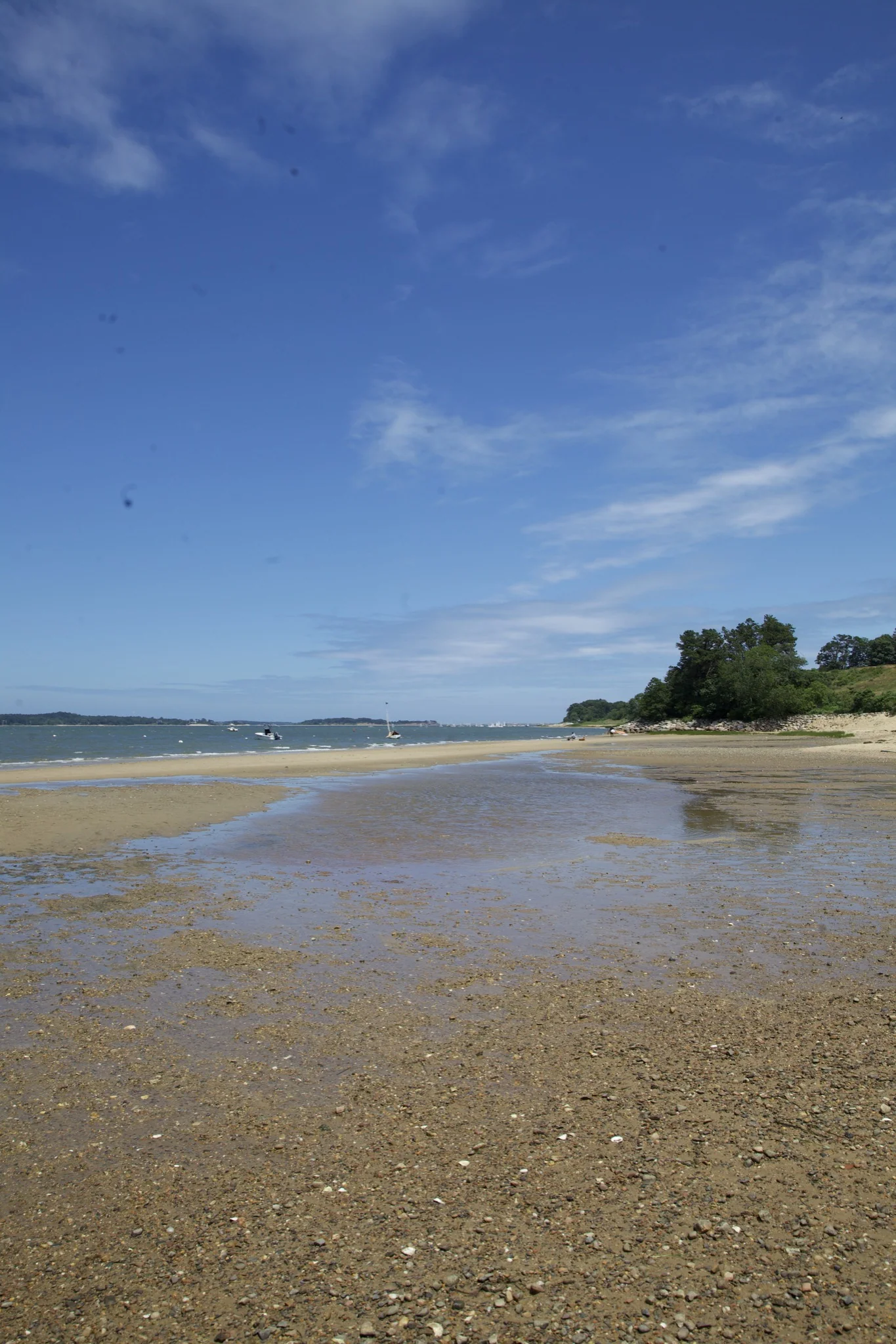 Shallow tidal flats and wooded shoreline in Chatham, Massachusetts