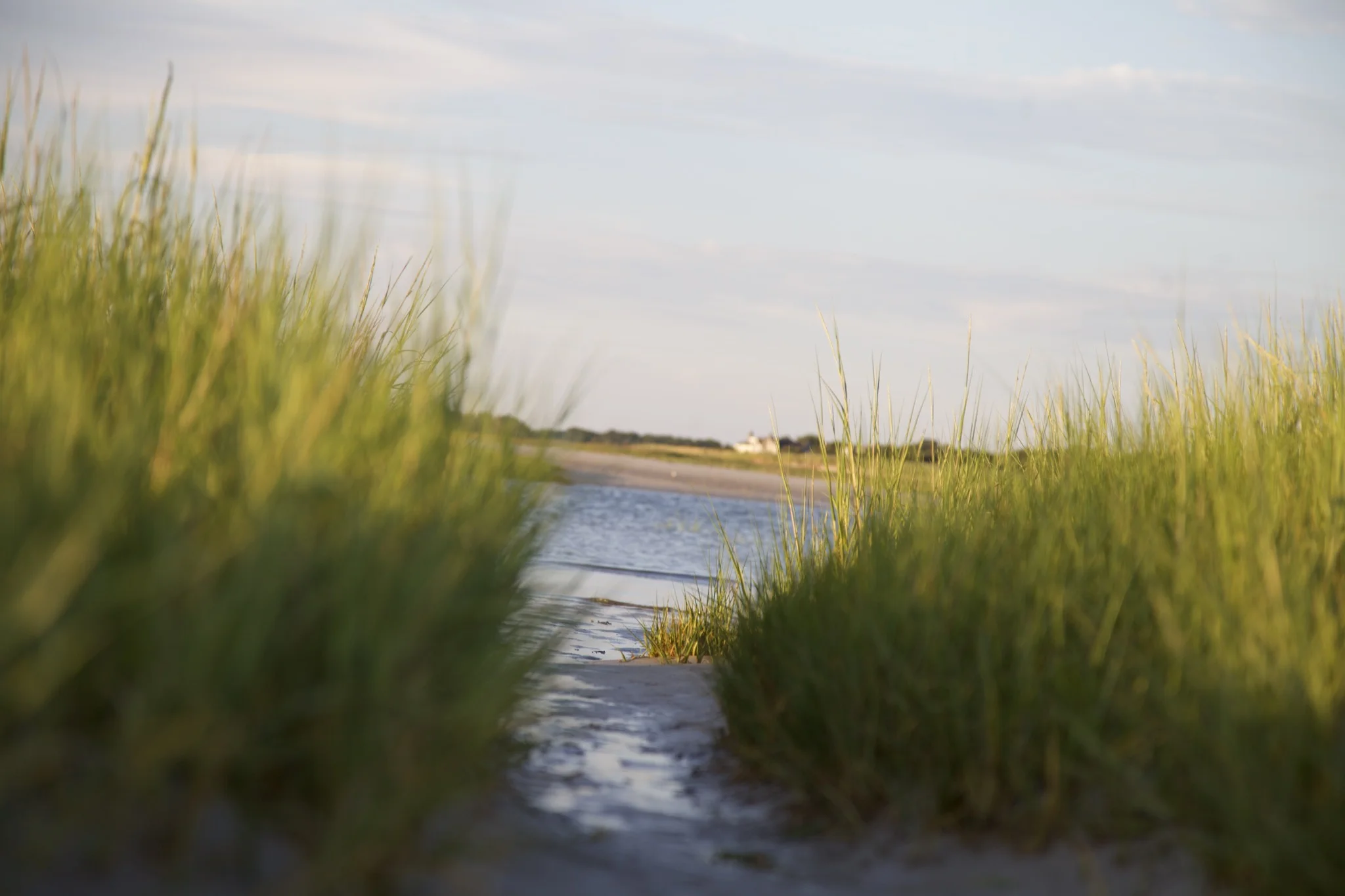 A shallow tidal channel running between banks of dune grass at Skaket Beach, Orleans