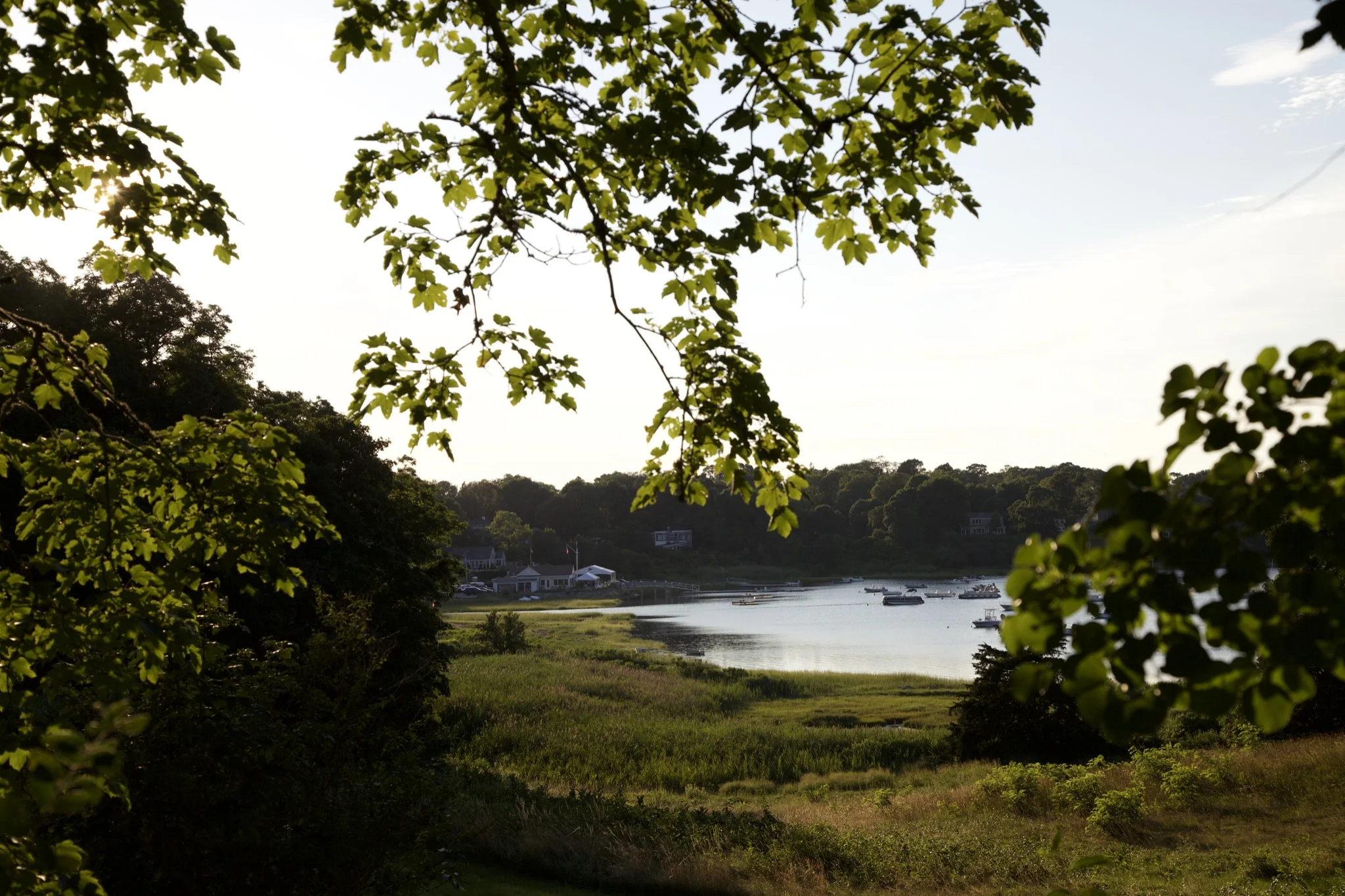 Boats moored in Town Cove, Orleans, framed by overhanging maple leaves at golden hour