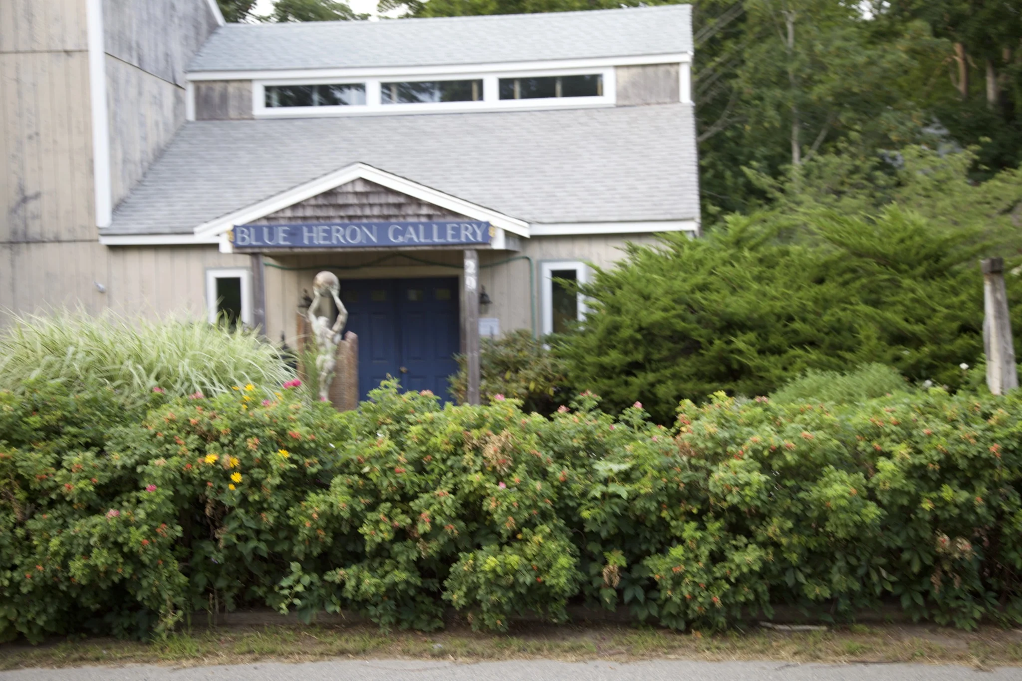 Weathered shingle gallery building behind a hedge on the main road in Wellfleet, Massachusetts
